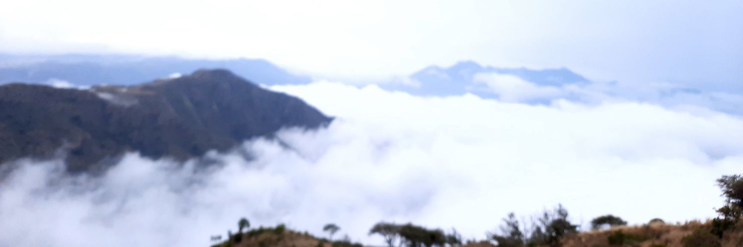k0f8's profile banner image