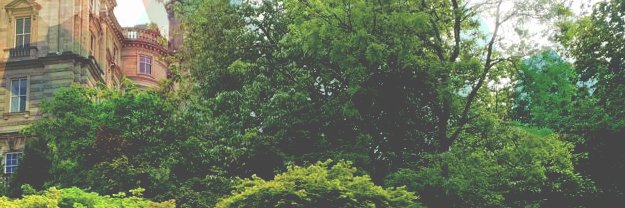 doodkook's profile banner image