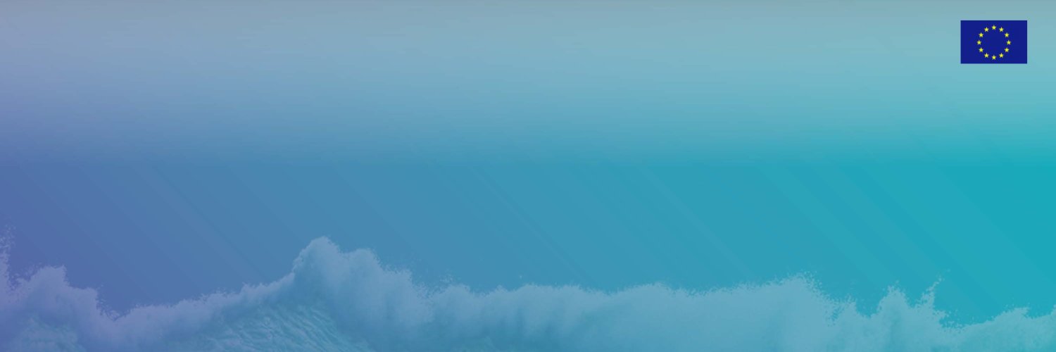 ANERIS's banner