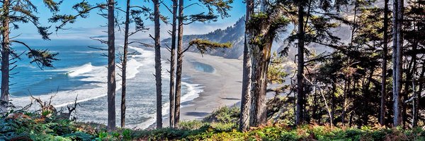 luigi_bocola Profile Banner