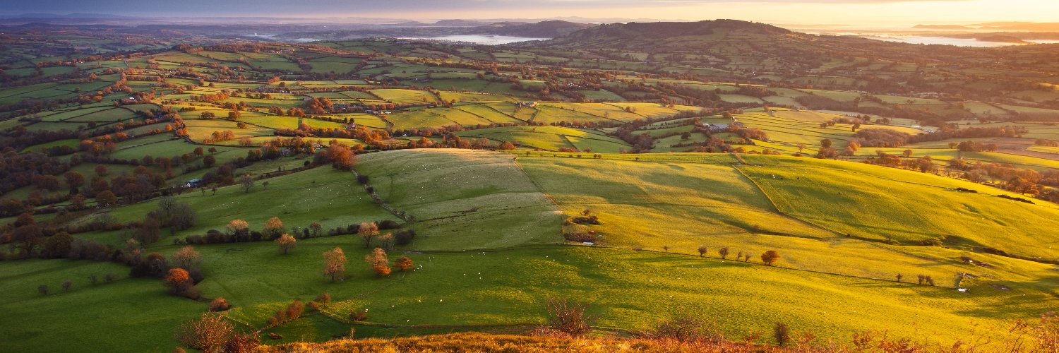 Net Zero Innovation Institute banner