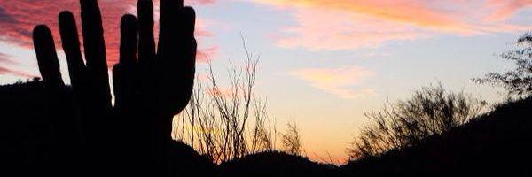 joegabe's profile banner image