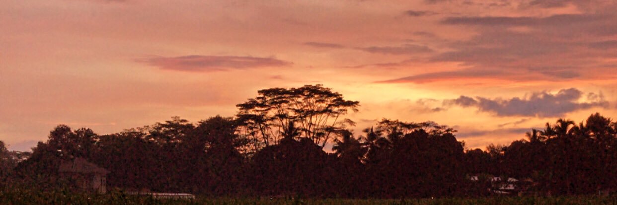 restiueo's profile banner image
