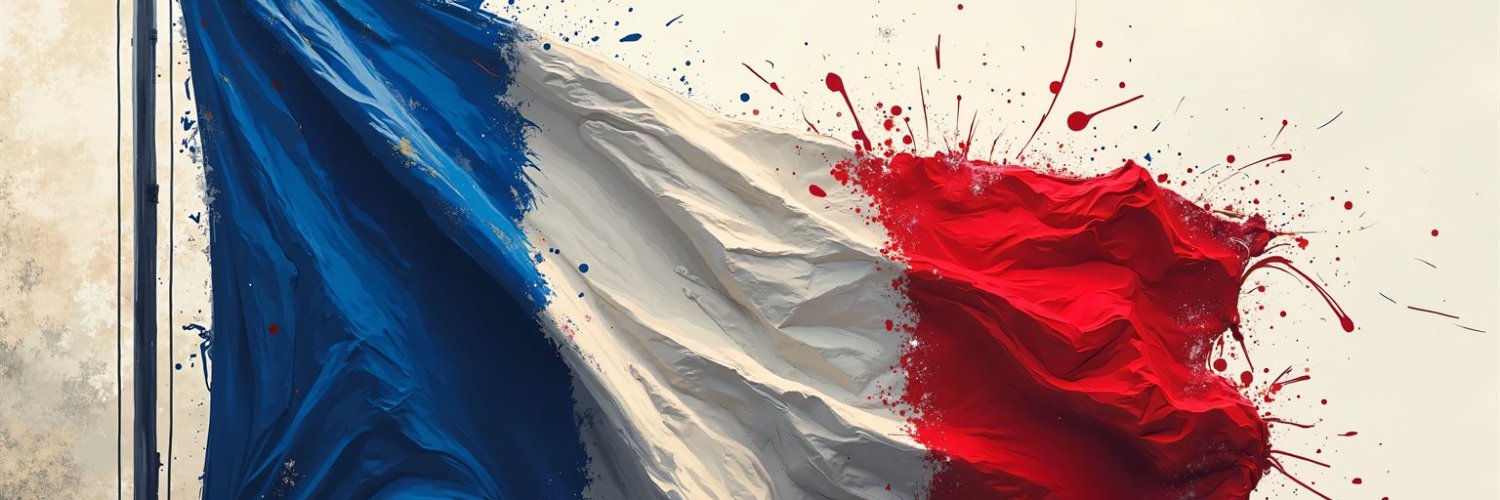 🇫🇷 sgdbdr 🇫🇷 banner