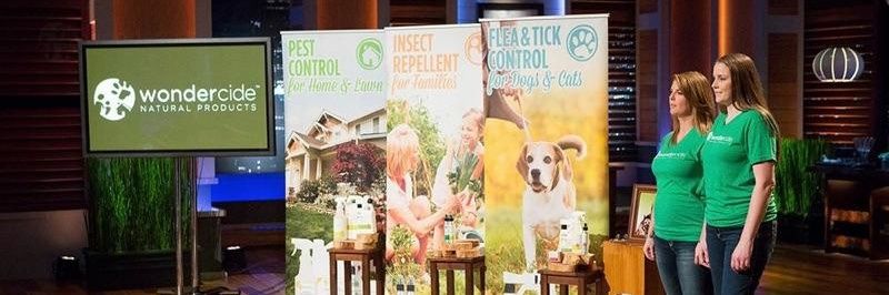 Stephanie Boone banner