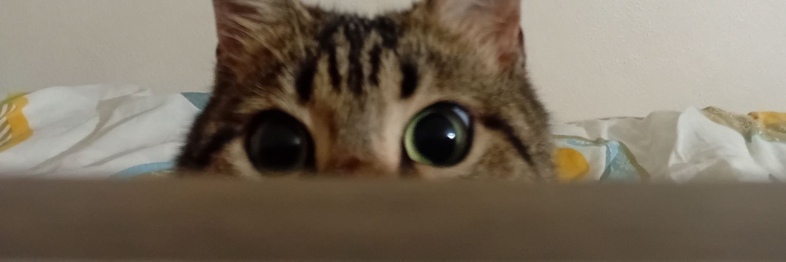 1kyuta's profile banner image