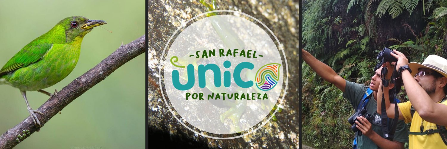 toursanrafael's profile banner image