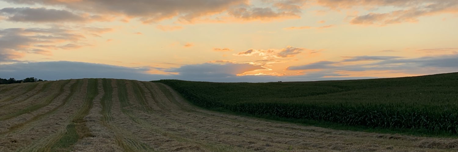 hrmatzner's profile banner image