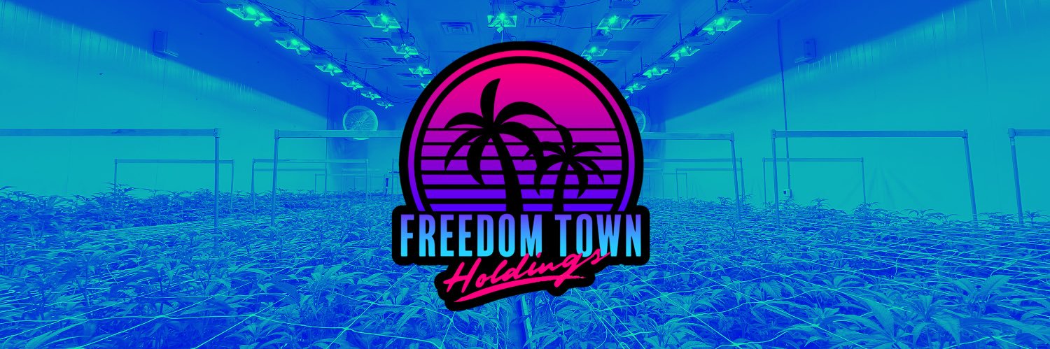 Freedom Town Holdings, LLC banner