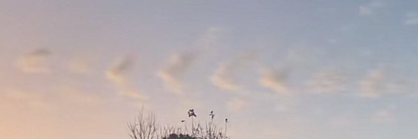 larry_musings Profile Banner