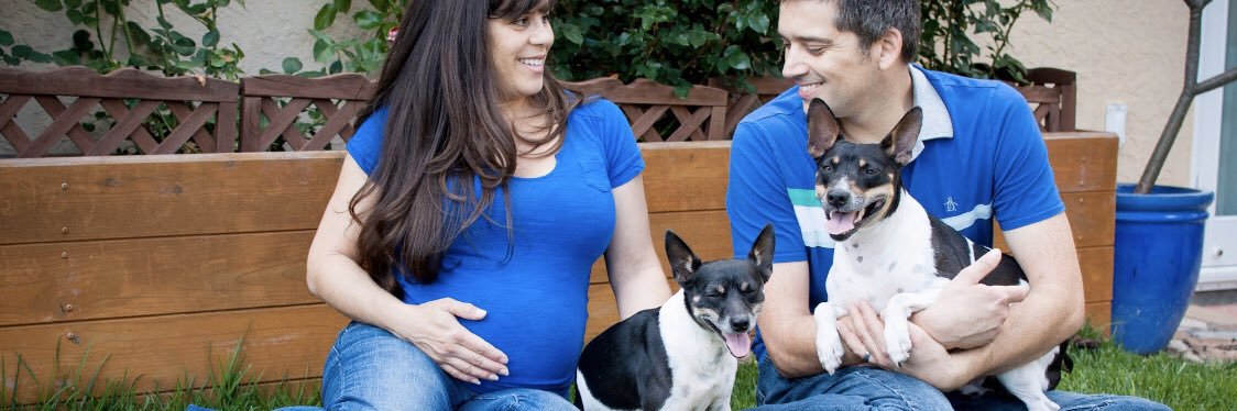 Family Paws, LLC banner