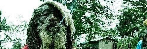 meatwop's banner