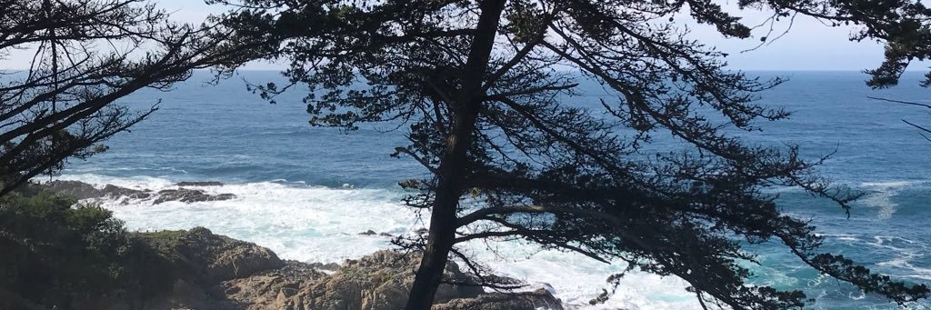 _youleesa's profile banner image