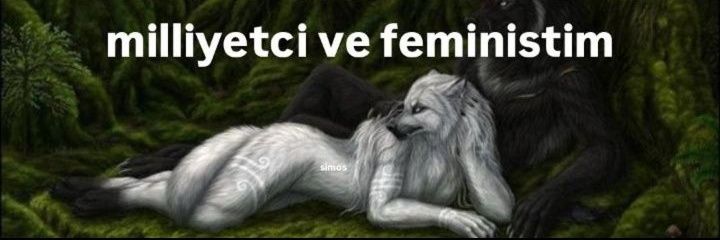 Lucilialt's profile banner image