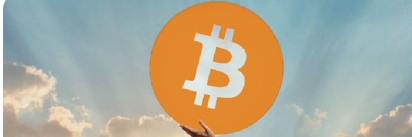 The Bitcoin Carnivore banner