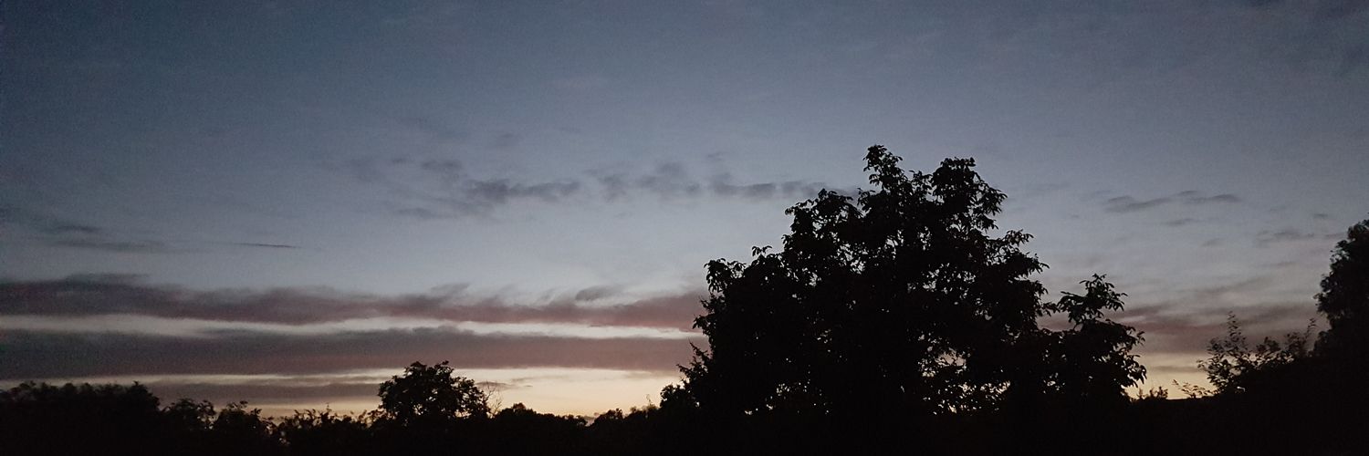chronicpolishx's profile banner image