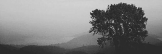 DamnItsPeeta's profile banner image