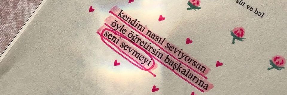 mervesenaguler's profile banner image