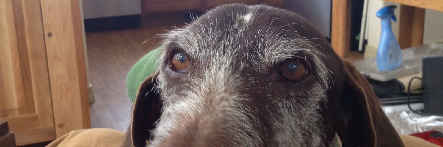 space ghost 🇺🇦 banner