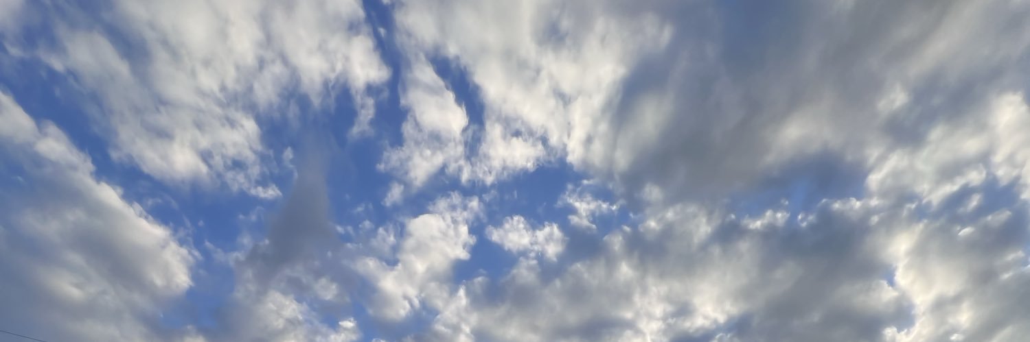 baibaisw's profile banner image