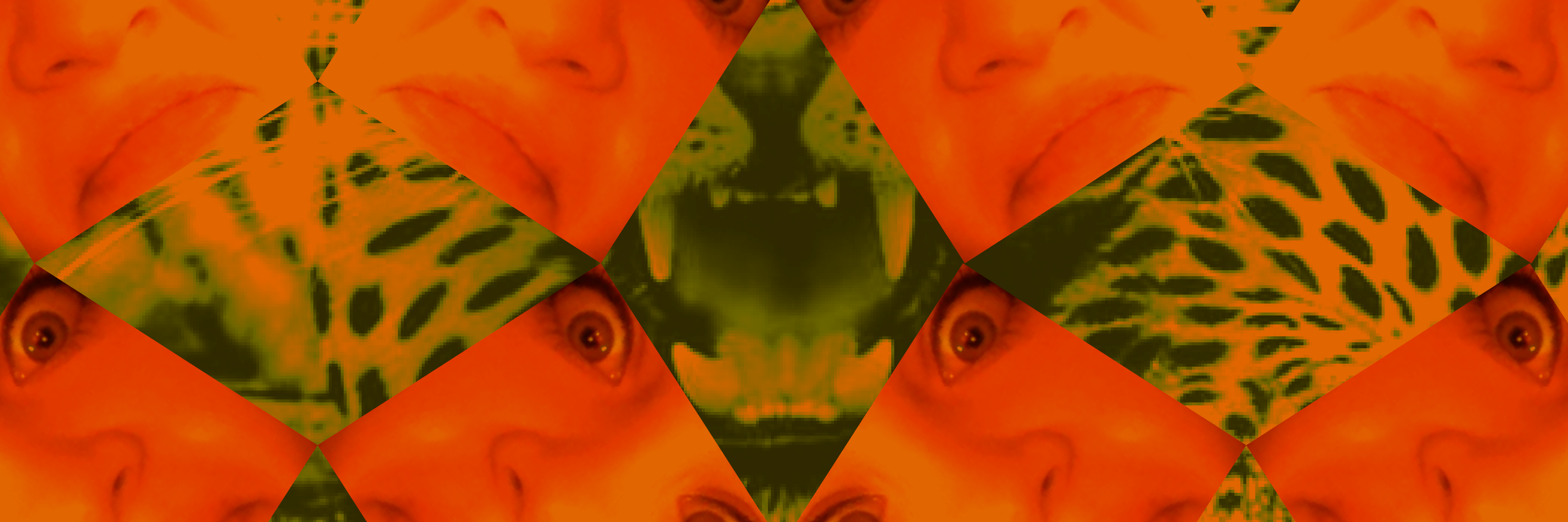 burtsbeeswax's profile banner image