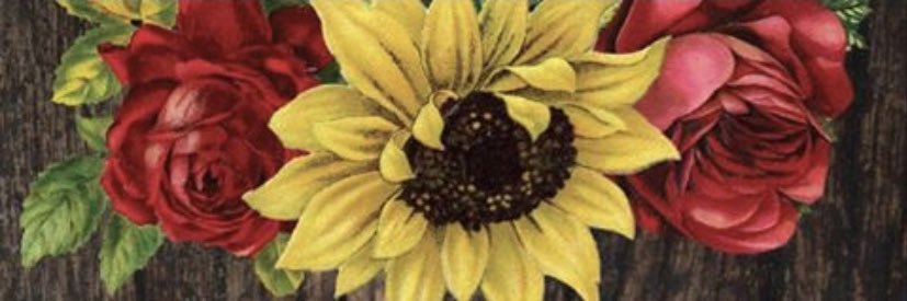 ValAnn1013's profile banner image