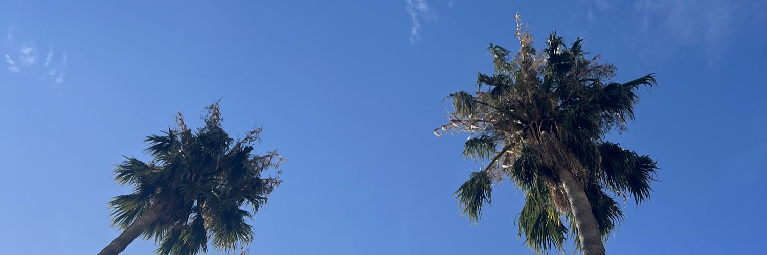 ThapeloNthite's profile banner image