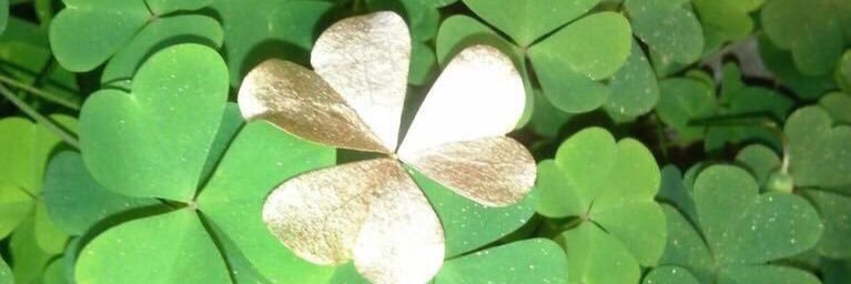 StephDeSales's profile banner image