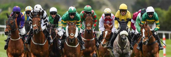 PonyFaces Profile Banner
