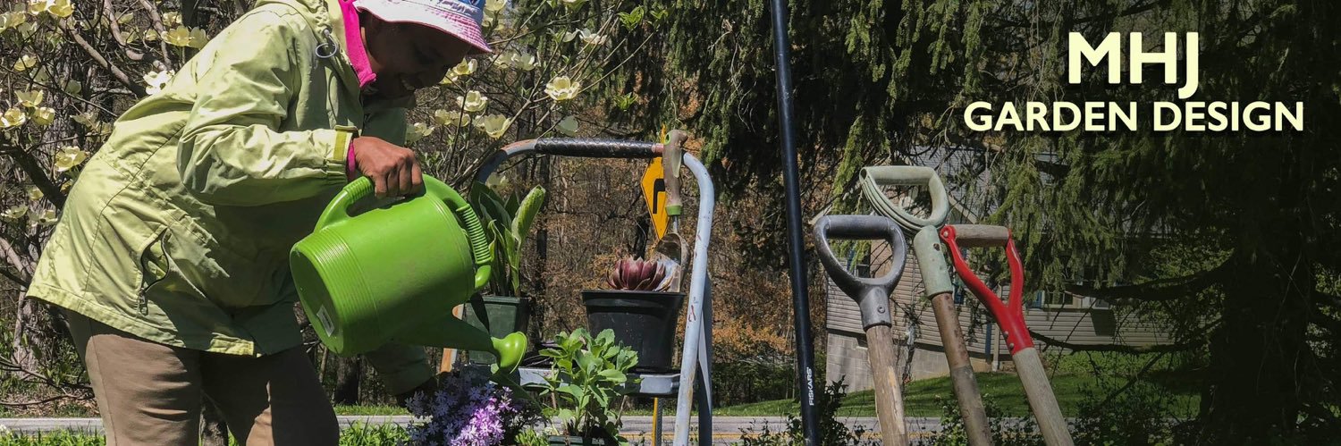 Marann H. Jones Flower Shop & Garden Design 💐's banner