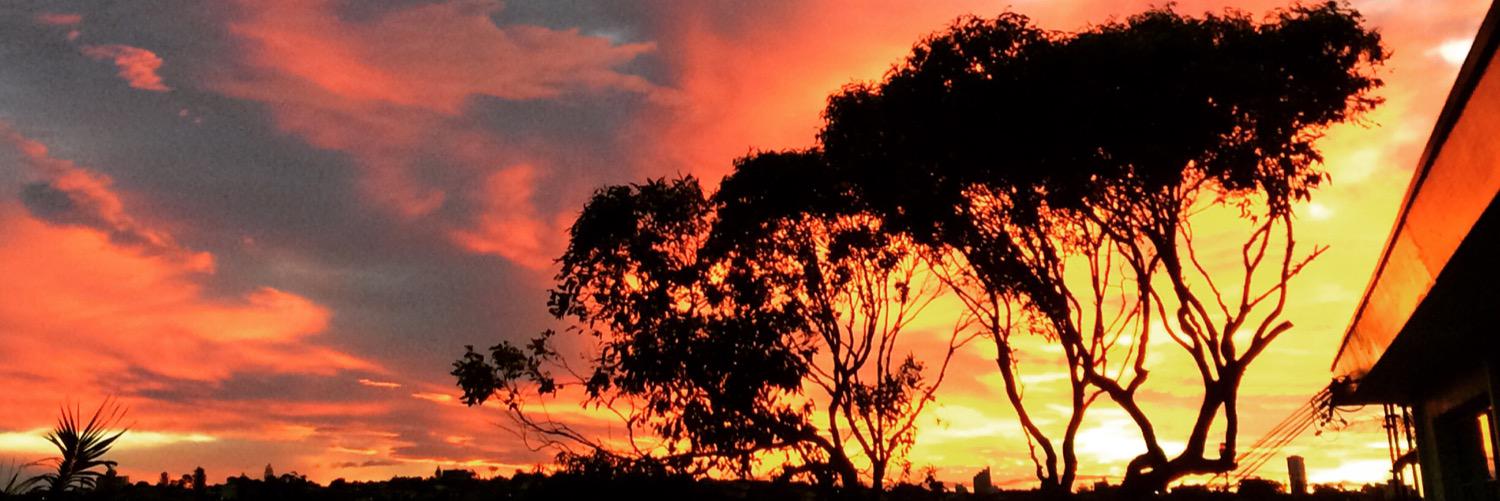 sunset_in_ca's profile banner image