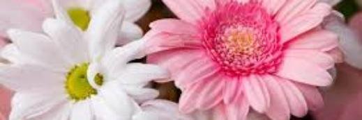 nabilhusna's profile banner image