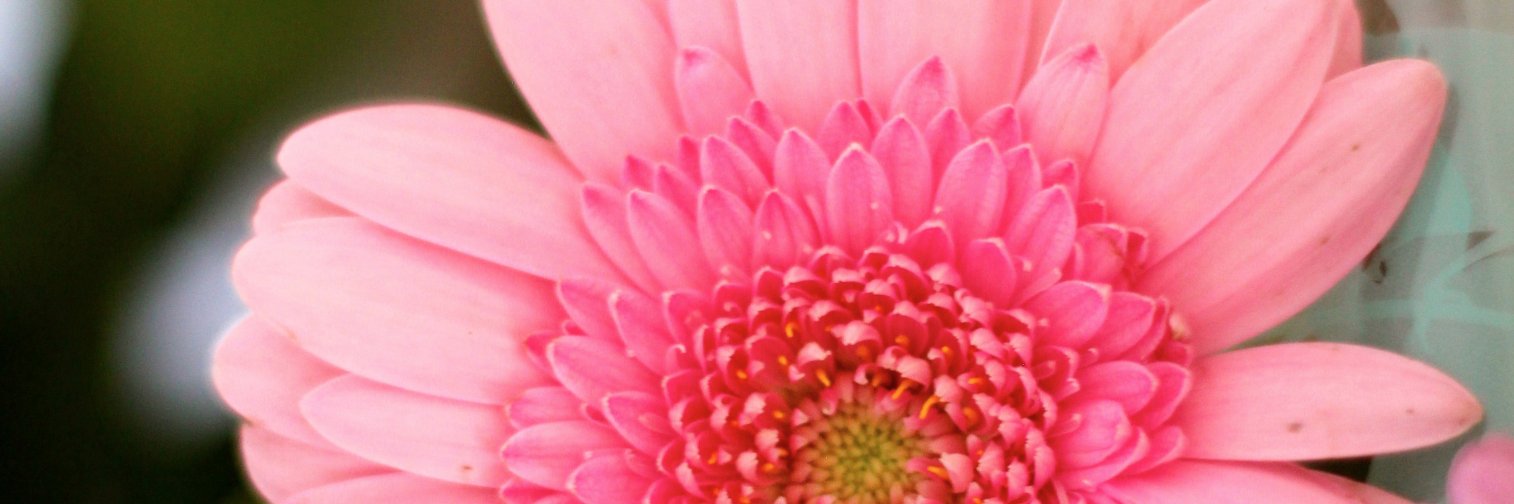 DanielleUK91's profile banner image