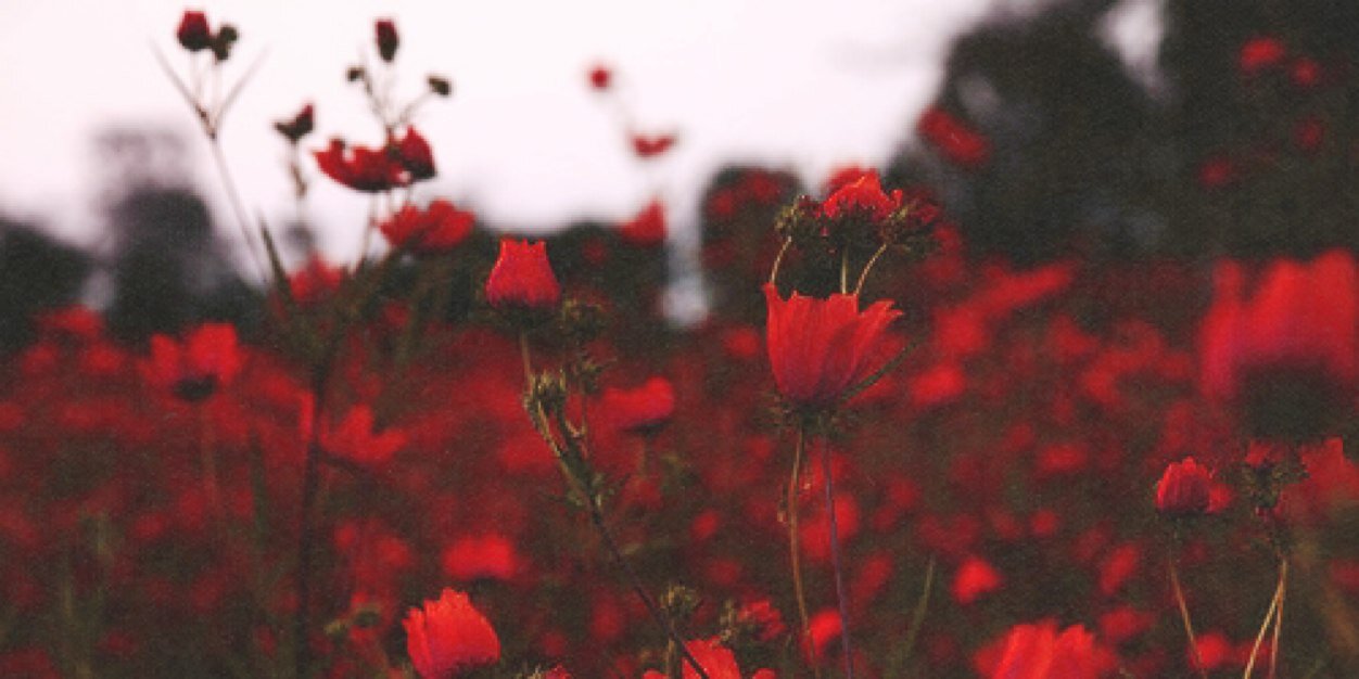 LukesWankHand's profile banner image