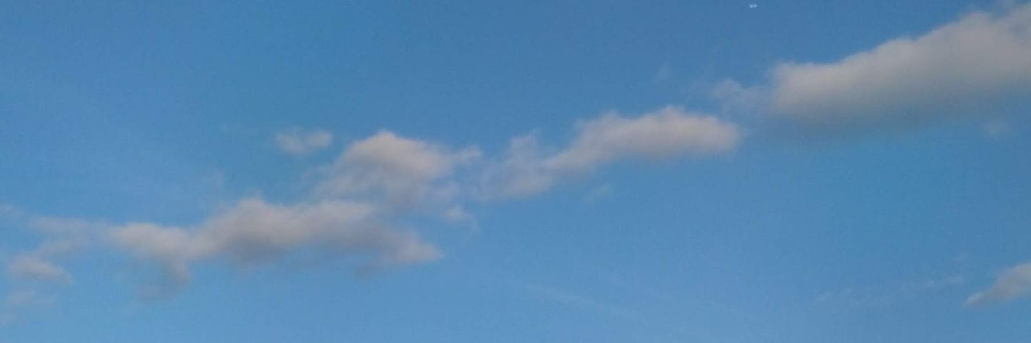 きなこモチ(ё) banner