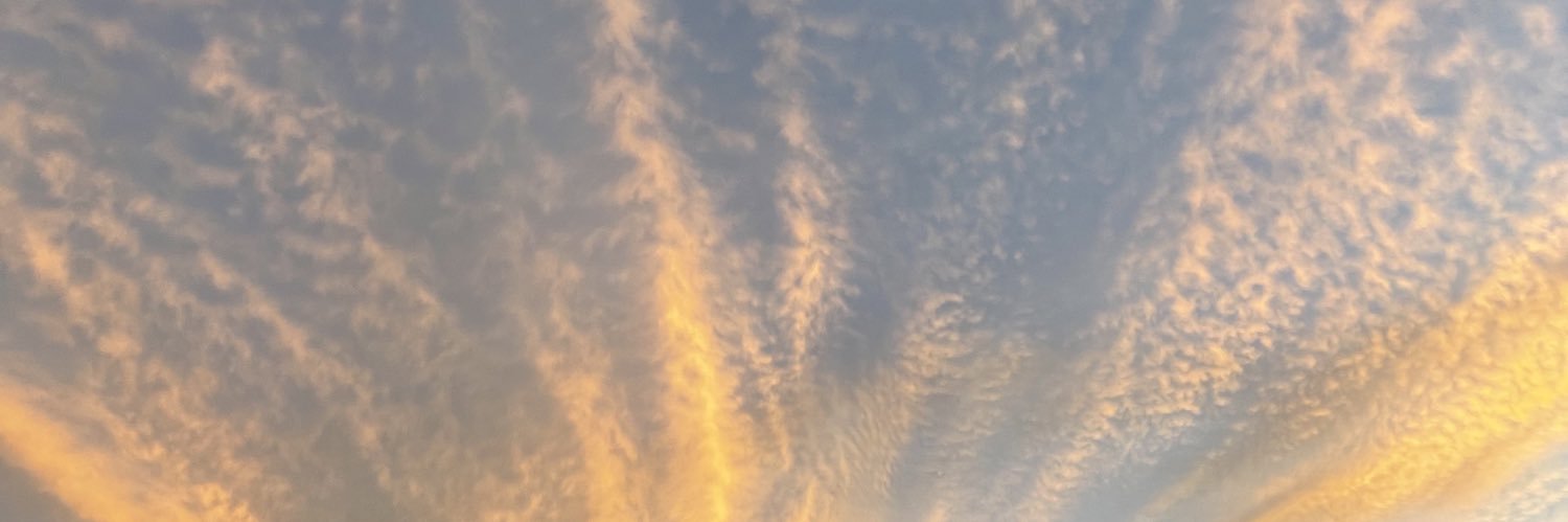 HoldenLager's profile banner image