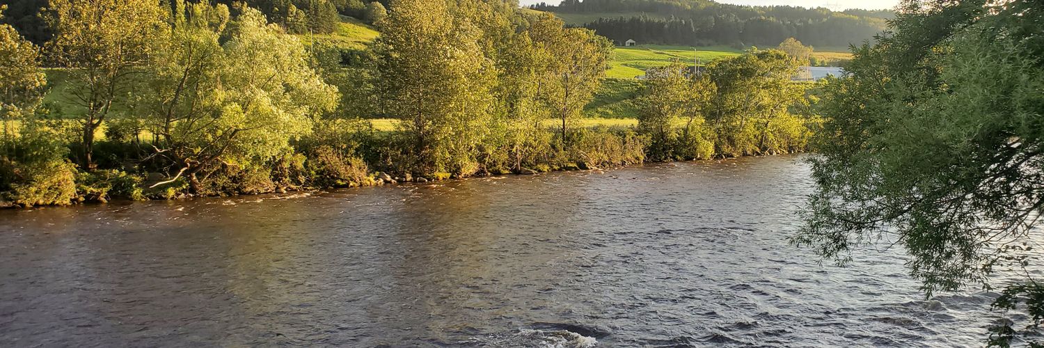 GHabsG 🇨🇦💪 banner