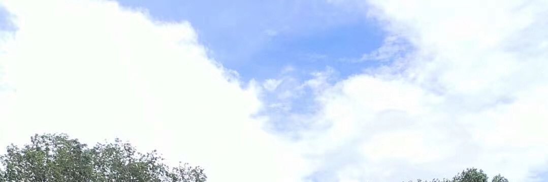 EdisonJ130's profile banner image
