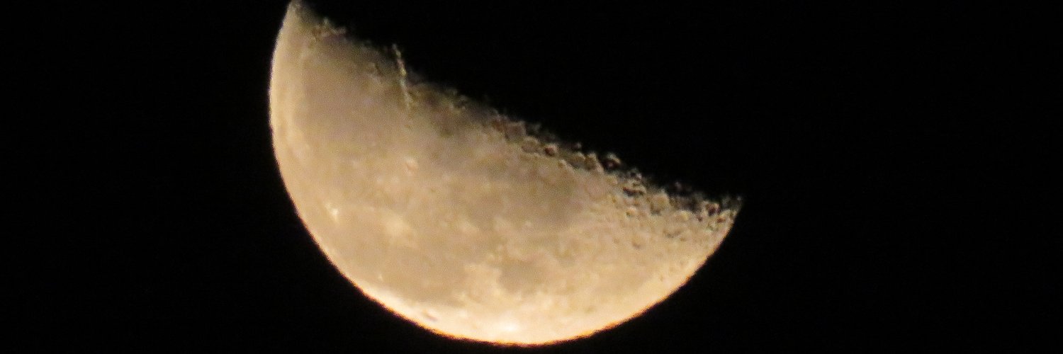 Nick Sentance banner