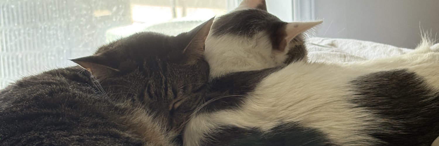 LeeeeCXx's profile banner image