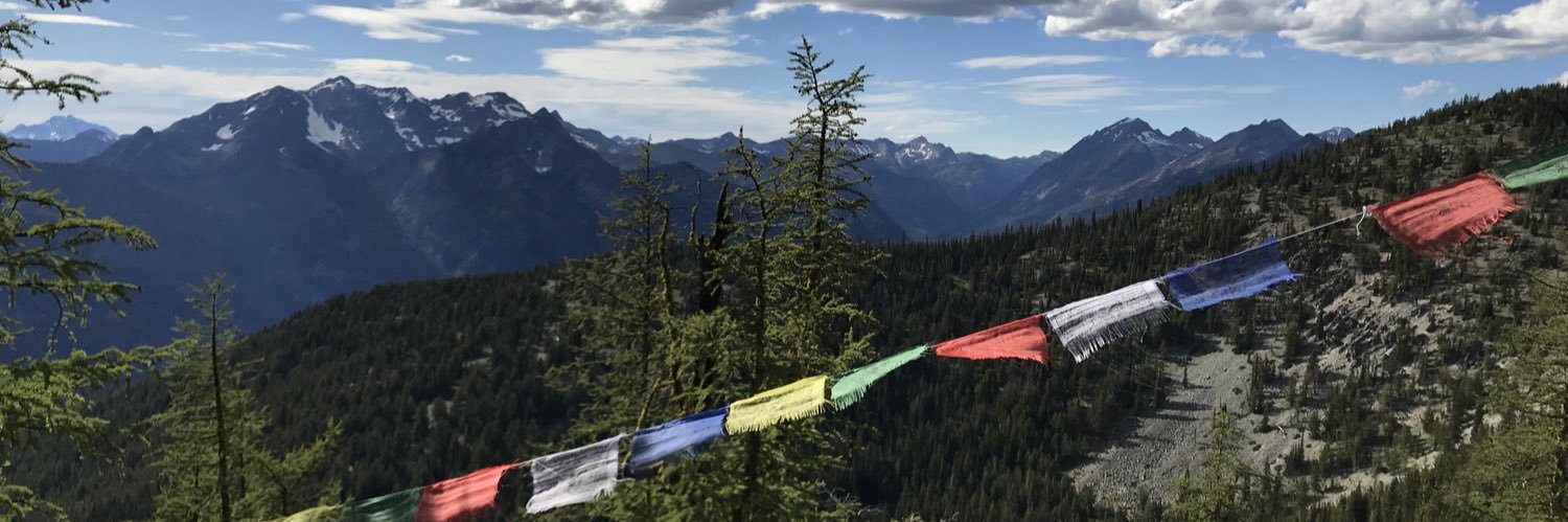 Stephen Ettinger banner