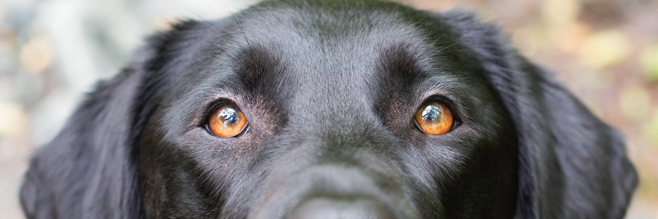 FuzzypantsPhoto's profile banner image