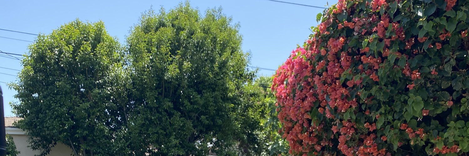 JesusIsAntifa's profile banner image