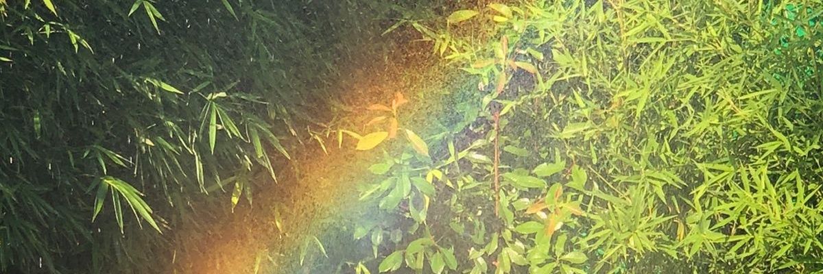 MicaelaRubiano's profile banner image