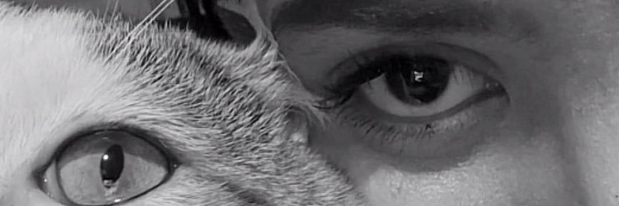 caa° banner