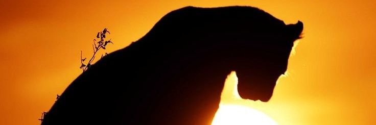 sumzfikrah's profile banner image