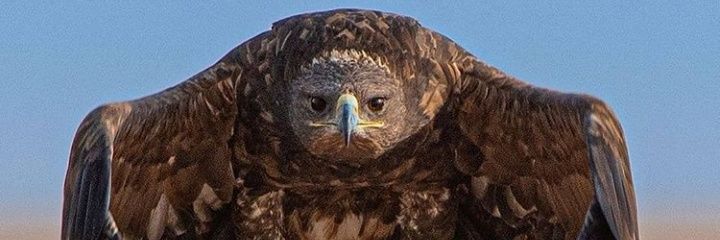 alex196746's profile banner image