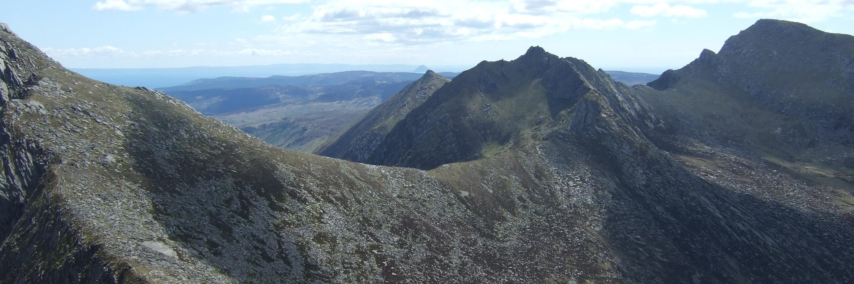 Tony Evans 🇪🇺 🚲 🎹 🍺 banner