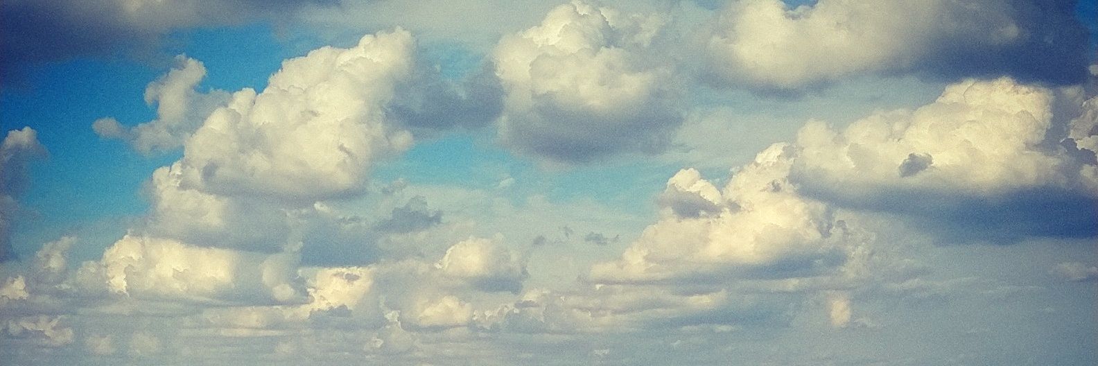 mofu2naopan's profile banner image