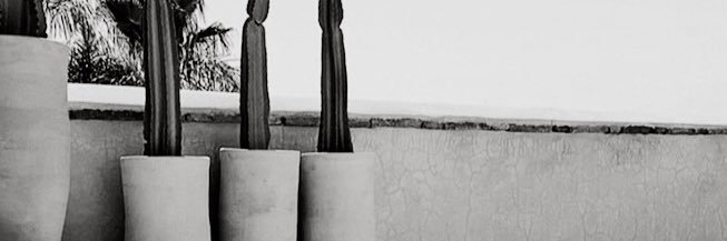 taylorstobbe's profile banner image